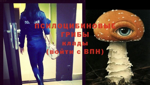 стаф Алексеевка